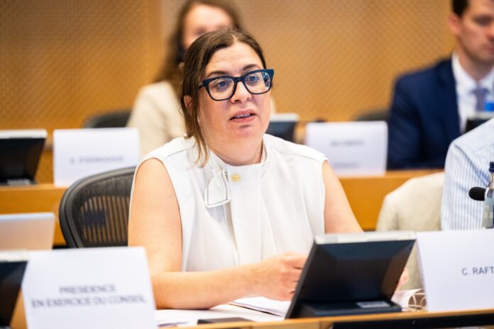 Christina Rafti speaks at the negotiating table behind name cards reading “Présidence en exercice du Conseil” and “C. Rafti”.